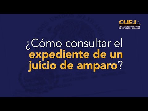 How to consult the electronic file of an amparo trial? | CUEJ