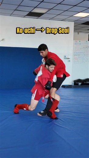 The secret to a perfect Drop Seoi Nage is a judo combination to trip them up #sambo #judo #bjj