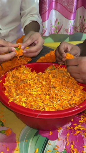 Guys Guess What Planning is Going On