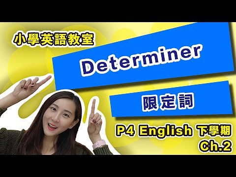 P4 ｜ 15分鐘學會 ｜Determiner 限定詞 - P4B 英文 Ch.2 (Grammar) #primary4 #english #tutorial