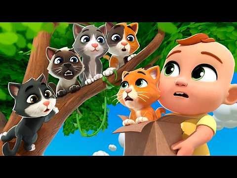 Find the Kittens! 🐱 (Hide and Seek) | Lalafun Nursery Rhymes & Kids Song