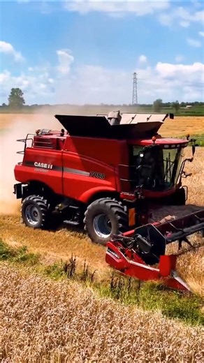 Case-ih combine harvester 7088 #caseihagriculture #CaseIH #harvesttime #farmlife | Big Machines