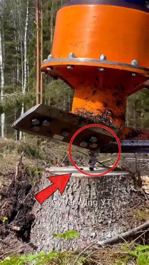 This is the most powerful machine for removing tree roots without any mess!