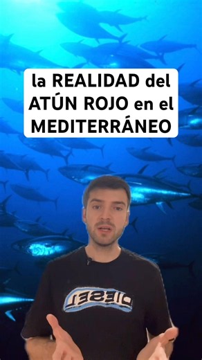 LA REALIDAD DEL ATÚN ROJO EN EL MEDITERRÁNEO 🐟