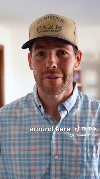 Emotional Support Alligator: Meet My Unique Pet