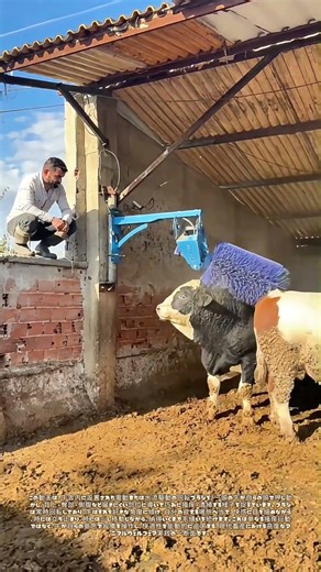 自ら運ぶ回転刷り：牛が拓いた背中の衛生