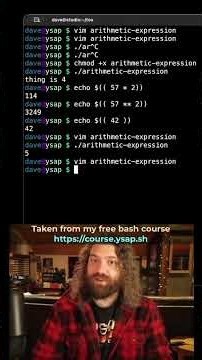 Bash Math Fun: Variables and Arithmetic Expressions