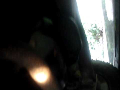 The easiest way to spot a FORD C6 automatic transmission