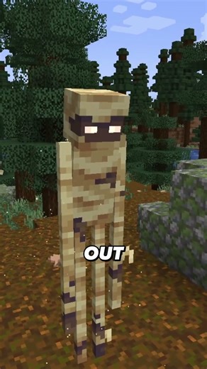 This mod adds over 20 new endermen variants to Minecraft