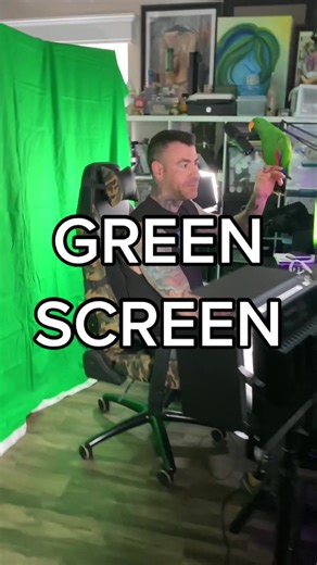 Eclectus Parrot Peño Disappears on Heidi Lavon's Twitch Stream