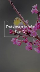 Praying through the Psalms, Psalm 105 Psalm 105 is a call to remember and rejoice in God's faithfulness across generations. From Abraham to Moses, from famine to freedom, God’s promises never failed. He leads, provides, protects, and always keeps His word. God’s past faithfulness is proof you can trust Him now 🔐🕊️ Your story fits into a bigger plan—He’s been working all along 📖🌍 #crosswalkcom #psalm105 #faithfulgod #rememberhisworks #generationtopraise | I am a Christian