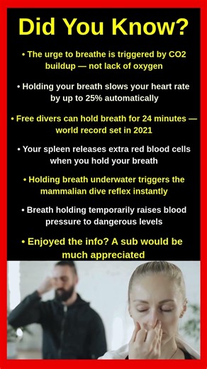What Actually Happens When You Hold Your Breath 😮‍💨⏱️