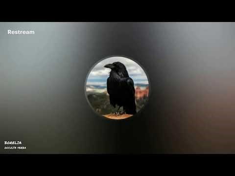 RHETOR, QUAESTOR, CAUSIDICUS