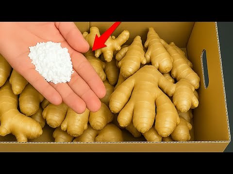 How to preserve ginger for 2 years without spoiling