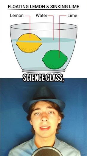 Lemons vs Limes (In Terms of Relationship with Water) #lemon #shorts #funfacts #facts