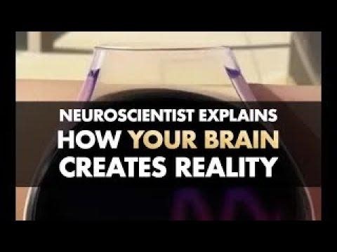 How Your Brain Creates Reality (updated) | Laura Quinn