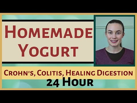 HOW TO MAKE SCD 24 HOUR YOGURT (lactose free yogurt for Crohn's, Colitis, Celiac, digestive health)