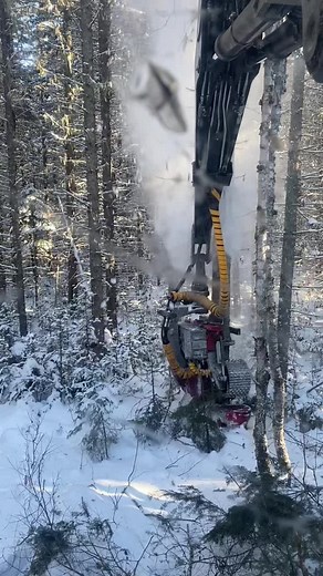 Efficient Logging Equipment: Logmax 6000 and Tigercat 855