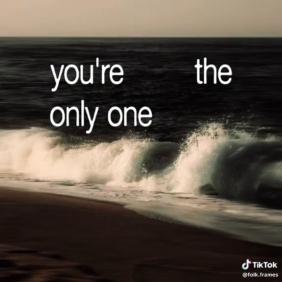 Shark Attack Lyrics - Joshua Slone