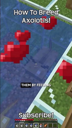 How To Breed Axolotls In Minecraft?!