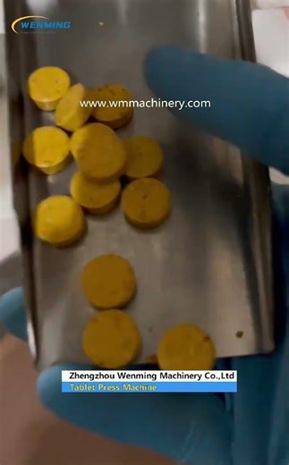 High Quality Tablet Maker Machine #Small Single Punch Pill Making Machine