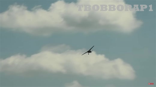 5.7K views · 137 reactions | The sun is shining and it's a busy...