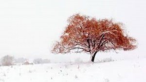 THE LIGHT Lyrics - KENNY ROGERS | eLyrics.net