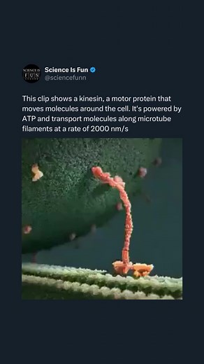 3.6M views · 10K reactions | Science Is Fun For Everyone on Reels | Facebook