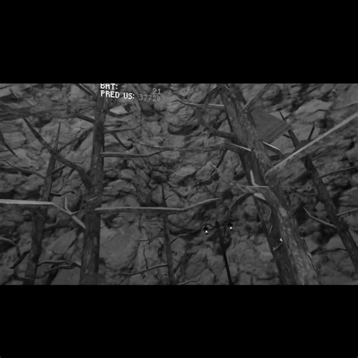 Injured + New Run | Q2