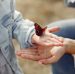 Pillangós versek, mondókák | Játsszunk együtt!