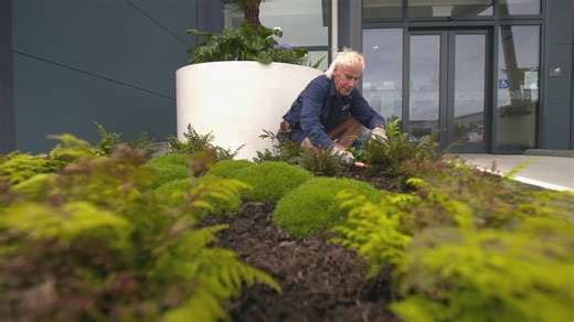 Michael Marquet has transformed Christchurch Hospital's grounds into a panorama of colourful splendour. Behind the man, an extraordinary story that inspires all those who hear it. | Seven Sharp