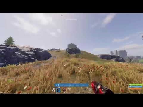 Rust Console Stream |Live