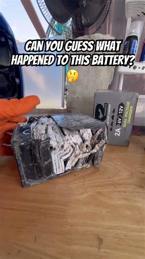 What Happened to This 12V Generator Battery?! 🤔 (Guess Before I Reveal)