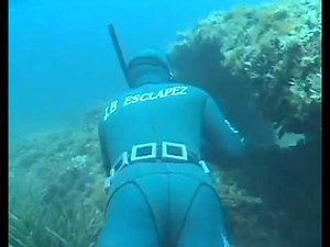 La chasse sous marine | DOCUMENTAIRE 2016