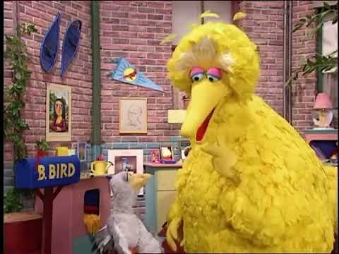 Sesame Street: Episode 4021