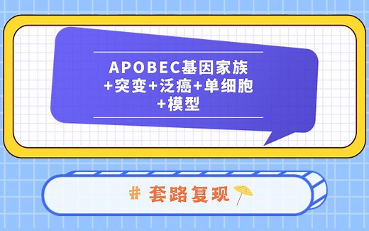 1.APOBEC基因家族 突变 泛癌 单细胞 模型-思路解析