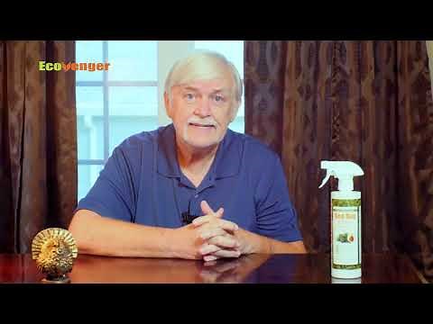 Dennis Judy Demonstrates How to Use EcoVenger® Bed Bug Killer for Effective Bed Bug Control