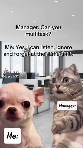 The Art of Multitasking in the Workplace