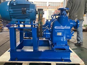 [Hot Item] Good Quality Gorman Rupp Electric Motor Self-Priming Slurry Mud Centrifugal Pump with Pulleys