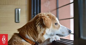 Songs about leaving and saying goodbye