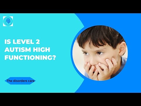 Is Level 2 Autism High Functioning?