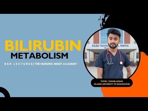 Bilirubin metabolism explained Simply | Nursing & Medical Students | The Nursing Merit Academy