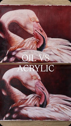 Carla Grace Ollwitz on Instagram: "Acrylic vs oil paint in a basic portrait of a flamingo. I’ve had more experience with acrylic but I’ve painted more flamingos with oils. Time for the painting as 7 - 8 hours per piece. These were painted for beginner to intermediate artist tutorials coming out in a couple months time. I love painting flamingos, they are amazing and the colour palette is surprising! Which one do you prefer? #acrylicpaintingoncanvas #oilpaintingoncanvas #flamingos #birdpainting #