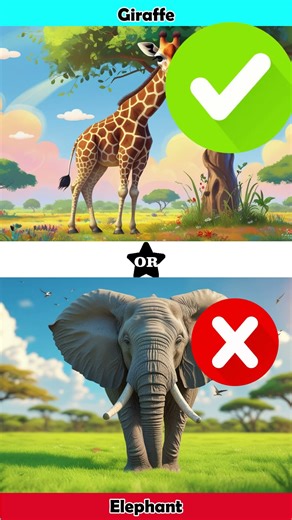 Animal Riddles for Kids | #funforkids #guessinggame #animalfun #animalriddles #educationalshorts