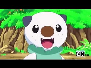 Oshawott’s Cute Moments 1