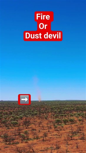 Did you see it? 👀 Something moving in the Outback
