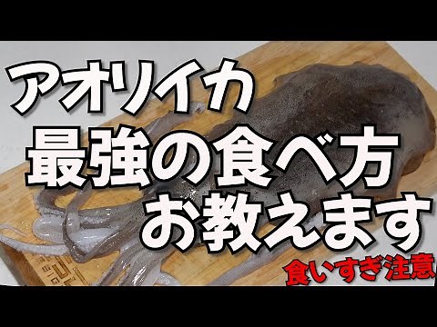アオリイカのさばき方！簡単で超絶美味い！最強の食べ方を教えます【おかわり必須】