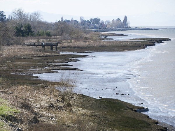 B.C. First Nation wins rights, title along Fraser River’s south arm in Richmond