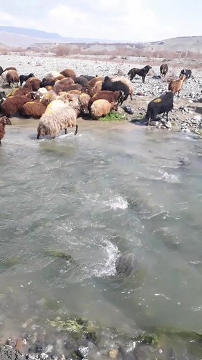 @ümityılmaz27 kars kağızman aras nehri