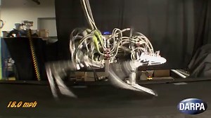 Cheetah le plus rapide des robots à pattes